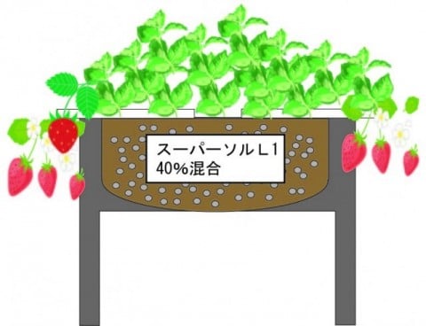 スーパーソル スーパーソル