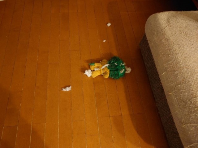 ミルクのボロボロにされたライオンくん